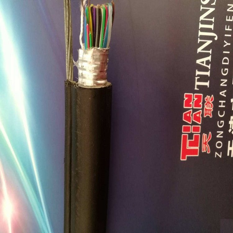 生产厂家双 表电缆DJYPVP20.6/1KV2X2X1.0MM2