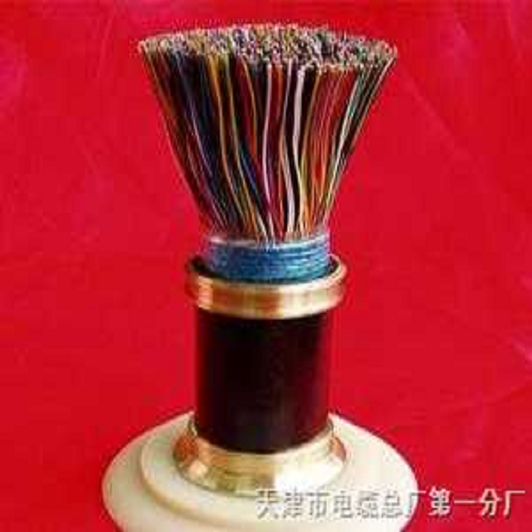 生产厂家信号电缆PTYA23PTYAH23型42芯低烟无卤阻燃型