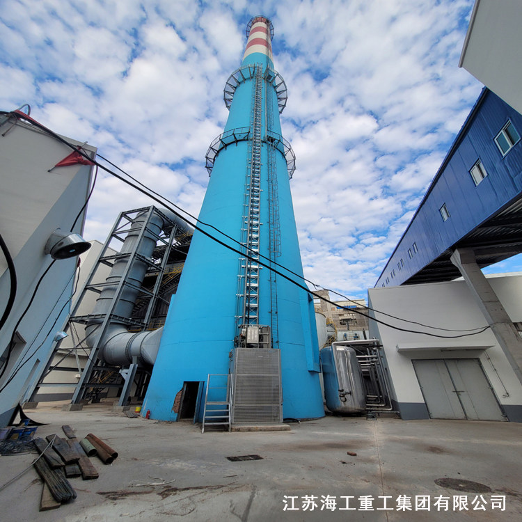 锅炉烟囱升降梯-在阆中化工厂超低排放技改中安全运行
