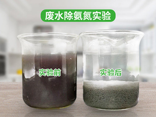 欢迎光临##龙江60%颗粒氨氮去除剂##集团股份