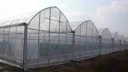 株洲攸县水槽单体大棚草莓温室大棚