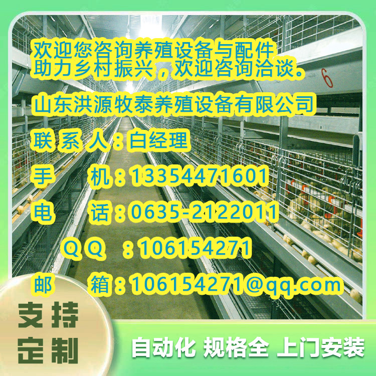 靖远县养鸡设备安装新信2024