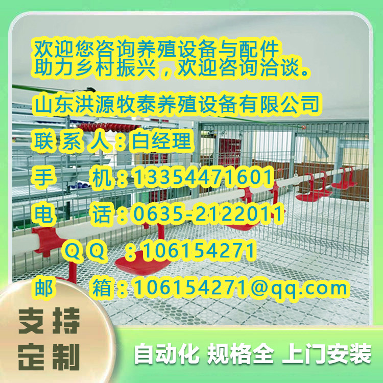 唐县养鸡自动设备价格2024年新