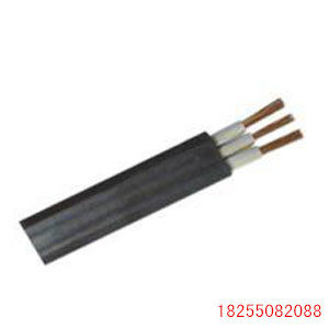 E分度热电偶用补偿电缆EX-GS-VV电缆现货-技术安全质量稳定